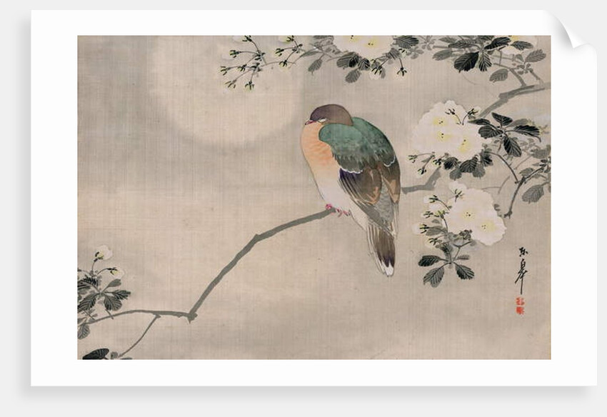 Japanese Silk Painting of a Wood Pigeon, 1800-1899 by Japanese School
