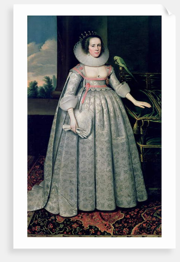 The Countess of Sussex by Paul van Somer