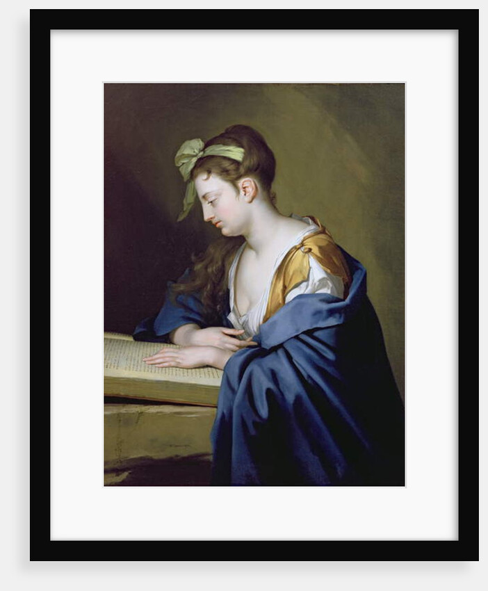 Lady Reading by Herman van der Mijn