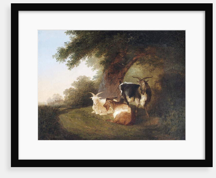 Three Goats in a Landscape, 1848 by Thomas Sidney Cooper