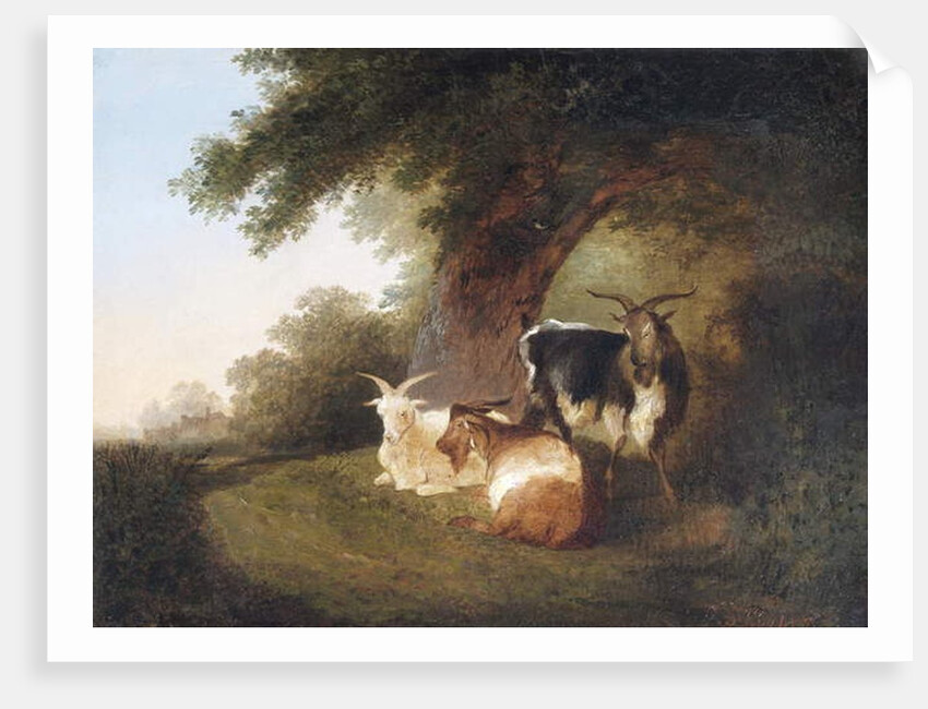 Three Goats in a Landscape, 1848 by Thomas Sidney Cooper