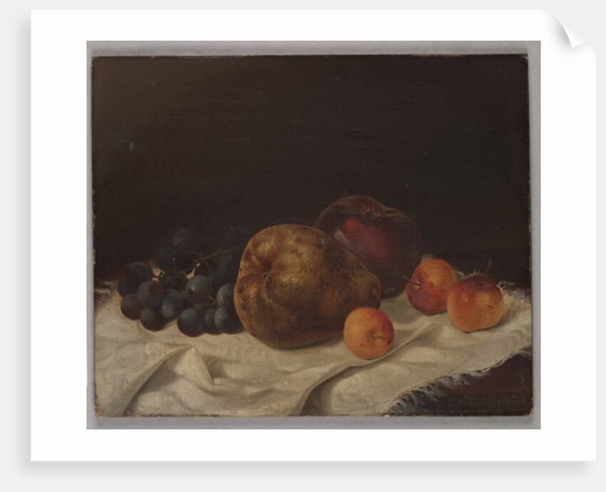 Still life with pear by Samuel W. Fuller
