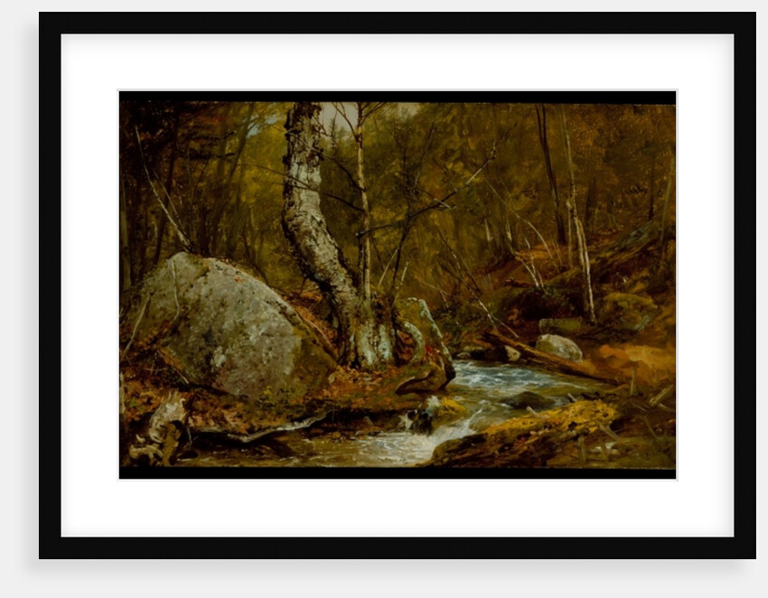 Woodland Interior, c.1850-55 by John Frederick Kensett