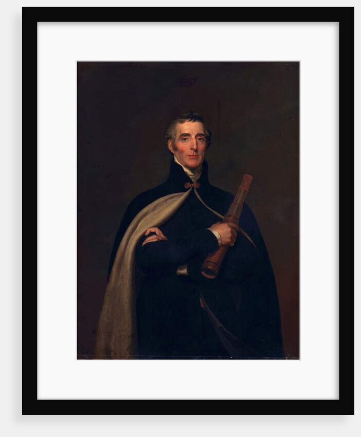 Arthur Wellesley, Duke of Wellington, with a telescope by Thomas Lawrence