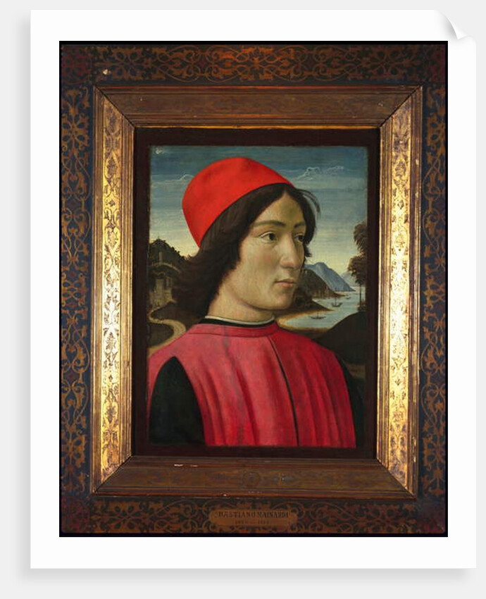 Portrait of a man, c.1490 by Domenico Ghirlandaio