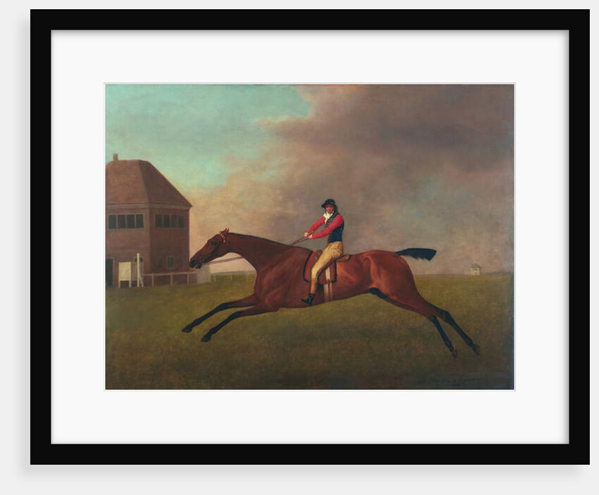Baronet with Sam Chifney Up, 1791 by George Stubbs