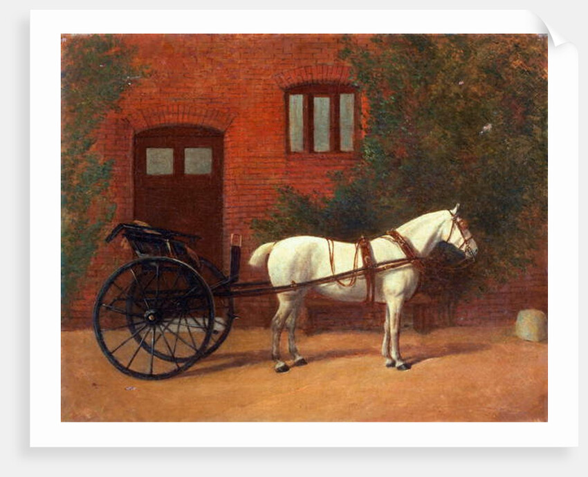 Horse hitched to a jaunting cart by English School