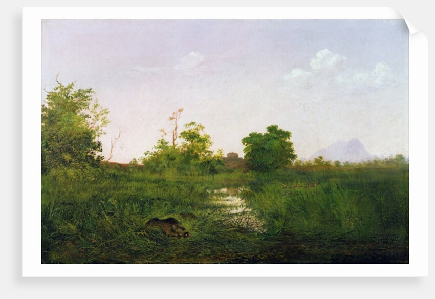 A sounder of warthogs in Sindolia Tank, Nasirabad Khandesh by Lt.-Colonel George Dudley Carleton