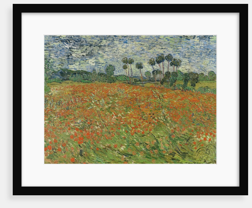 Field of Poppies, Auvers-sur-Oise, 1890 by Vincent van Gogh