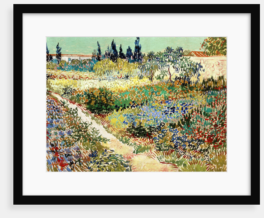 The Garden at Arles, 1888 by Vincent van Gogh