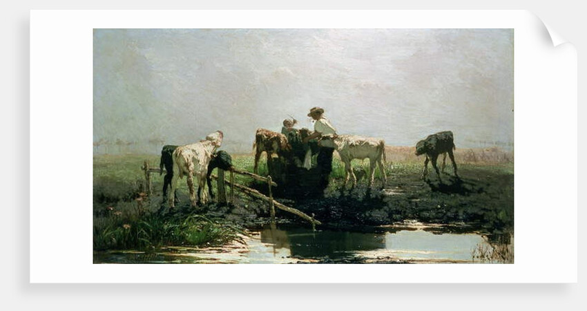 Calves at a Pond, 1863 by Willem Maris