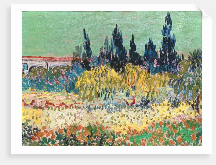 The Garden at Arles, detail of the cypress trees, 1888 by Vincent van Gogh