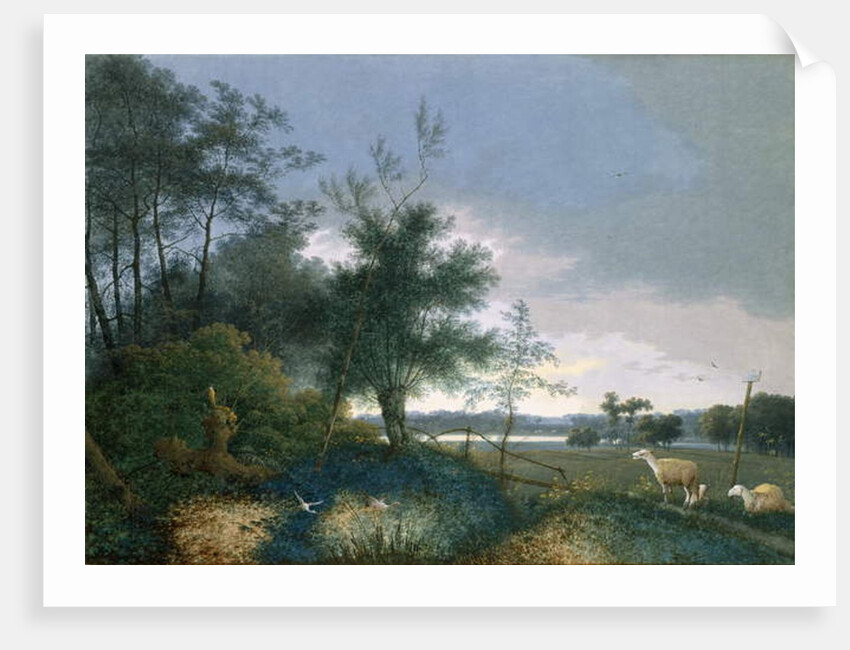 Landscape with a fox chasing geese by Joseph August Knip