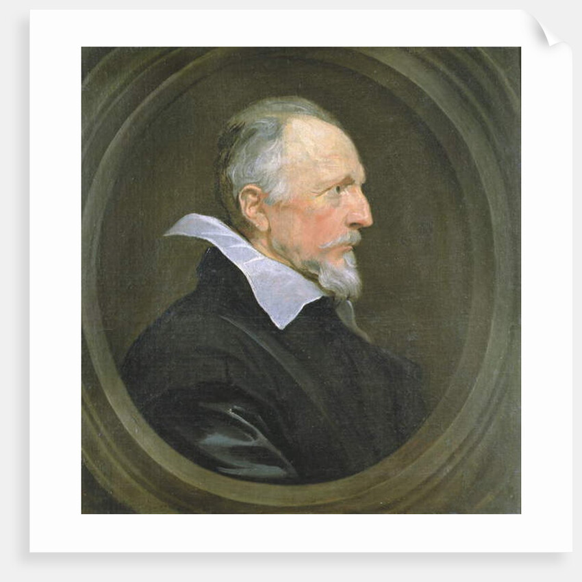 Portrait of a Gentleman by Anthony van Dyck