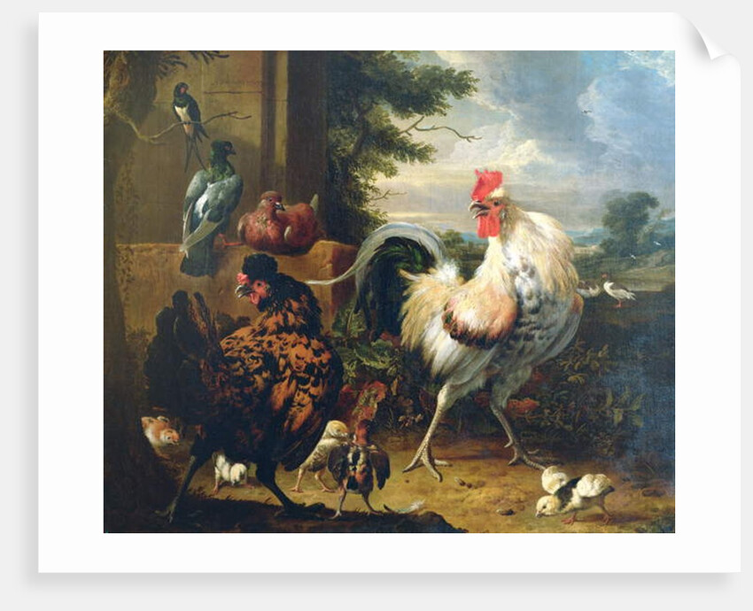 Farmyard fowl by Melchior de Hondecoeter
