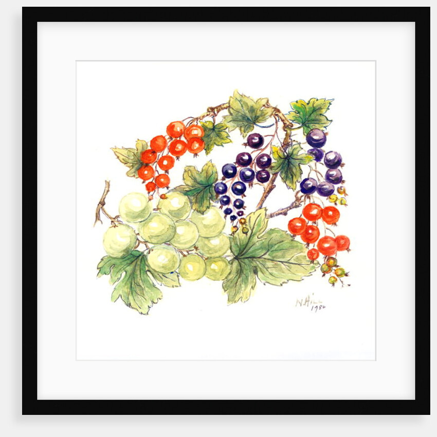 Black and Red Currants with Green Grapes, 1986 by Nell Hill