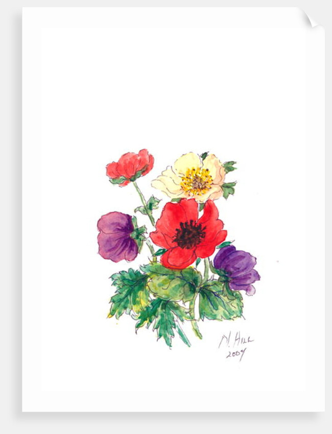 Anemones, 2007 by Nell Hill