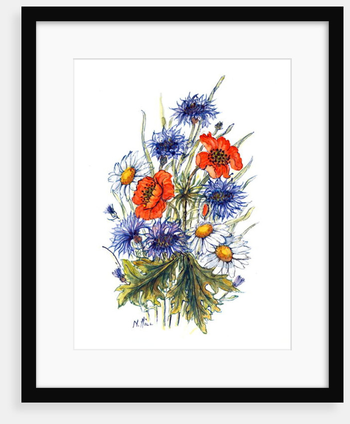 Cornflower, Poppy and Ox-eye Daisy by Nell Hill