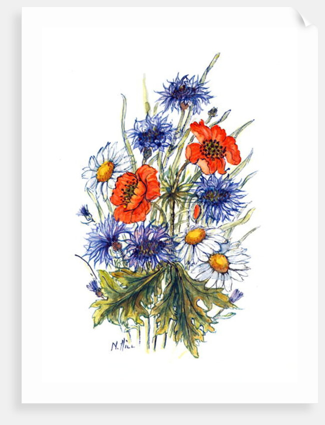 Cornflower, Poppy and Ox-eye Daisy by Nell Hill