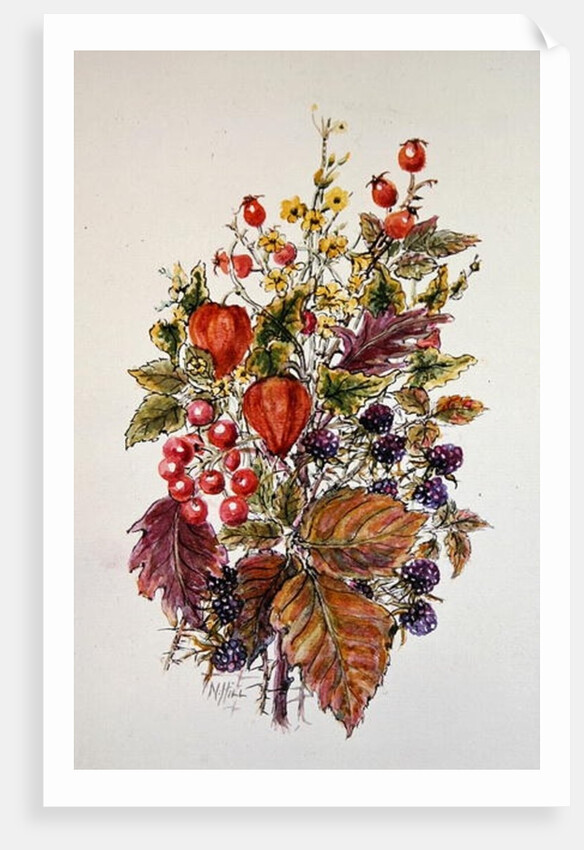Autumn posy by Nell Hill