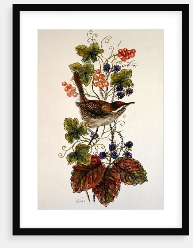 Wren on a spray of berries by Nell Hill