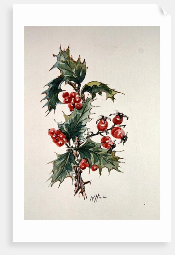 Holly and rosehips by Nell Hill