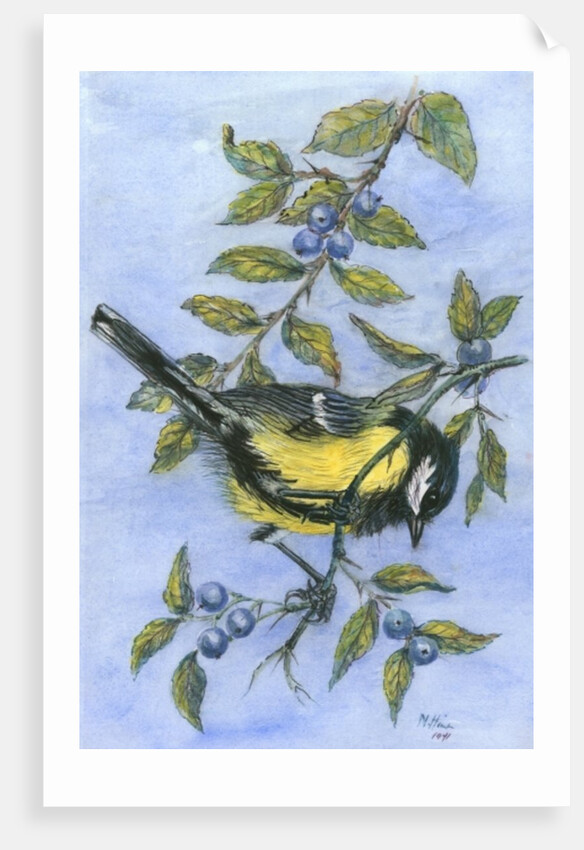 Tit in blackthorn and sloe by Nell Hill