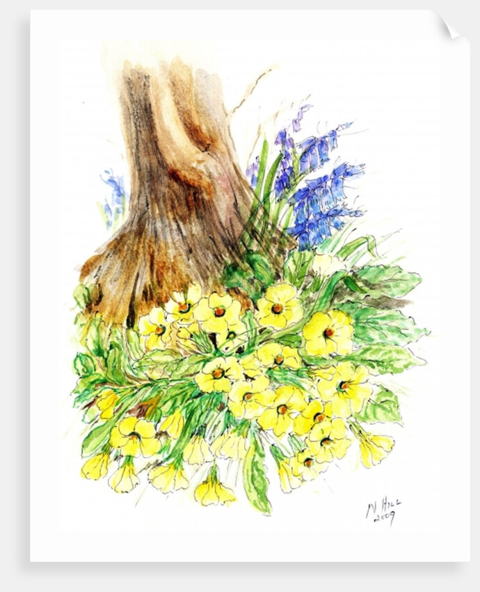 Spring Woodland by Nell Hill