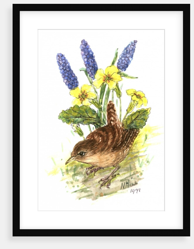Wren in Primroses by Nell Hill