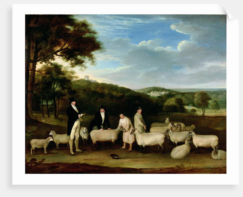 Portrait of Thomas William Coke, Esq. inspecting some of his South Down sheep with Mr Walton and the Holkham shepherds by Thomas Weaver