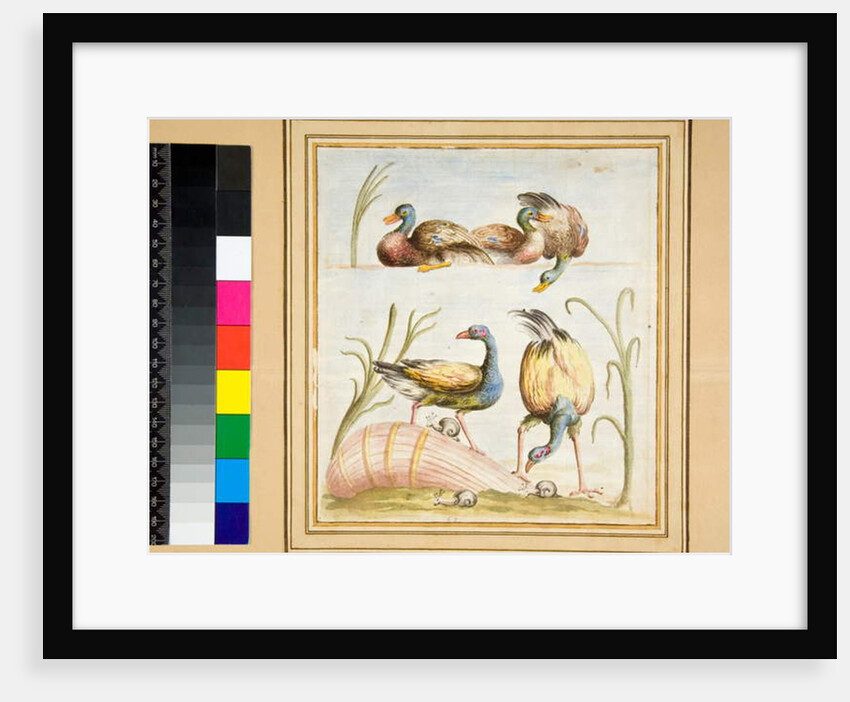 Copy of a mosaic with birds by Pietro Santi Bartoli
