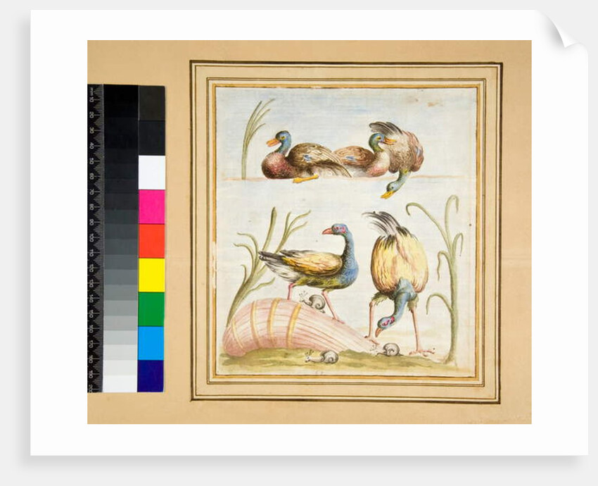 Copy of a mosaic with birds by Pietro Santi Bartoli