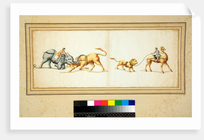 Copy of a mosaic of an Elephant fighting against a bull by Pietro Santi Bartoli