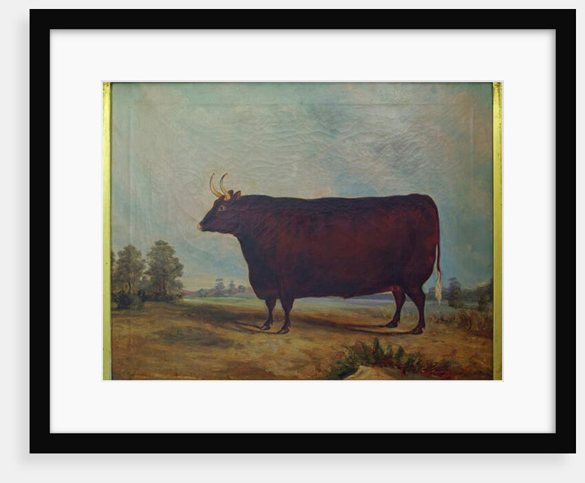A North Devon Ox in a Landscape, 1837 by William Carmichael Baker