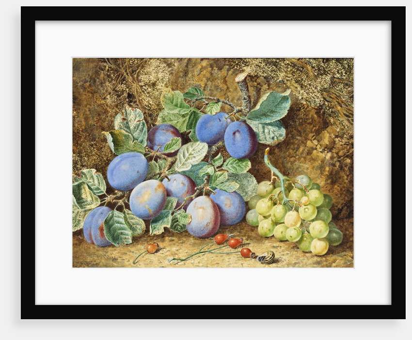 Plums and Grapes, 1877 by Thomas Collier