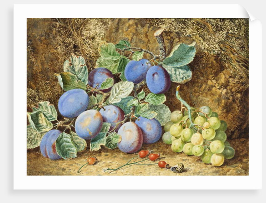 Plums and Grapes, 1877 by Thomas Collier