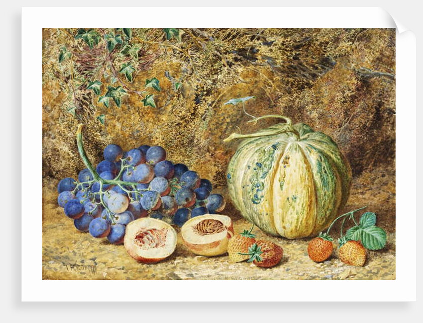 Grapes and Strawberries, 1877 by Thomas Collier