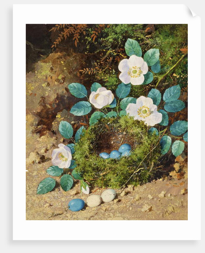 Still Life by William Cruikshank