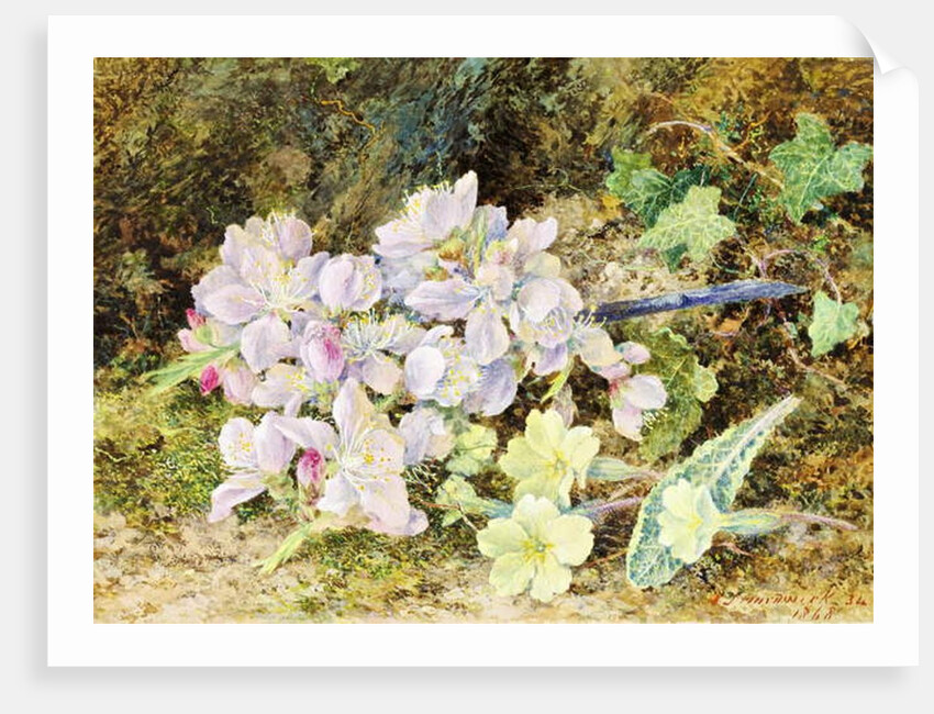 Almond Blossoms and Primroses, 1868 by John Jessop Hardwick