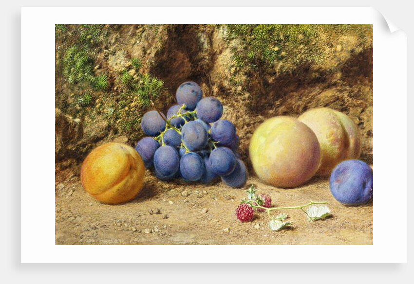 Black Grapes, Peaches, Apricots and Raspberries, c.1860 by William Henry Hunt