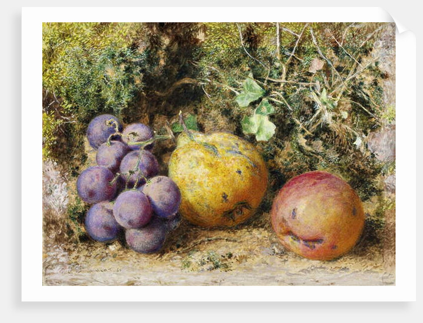 Black Grapes, Quince, and Newtown Pippin, 1861 by William Henry Hunt