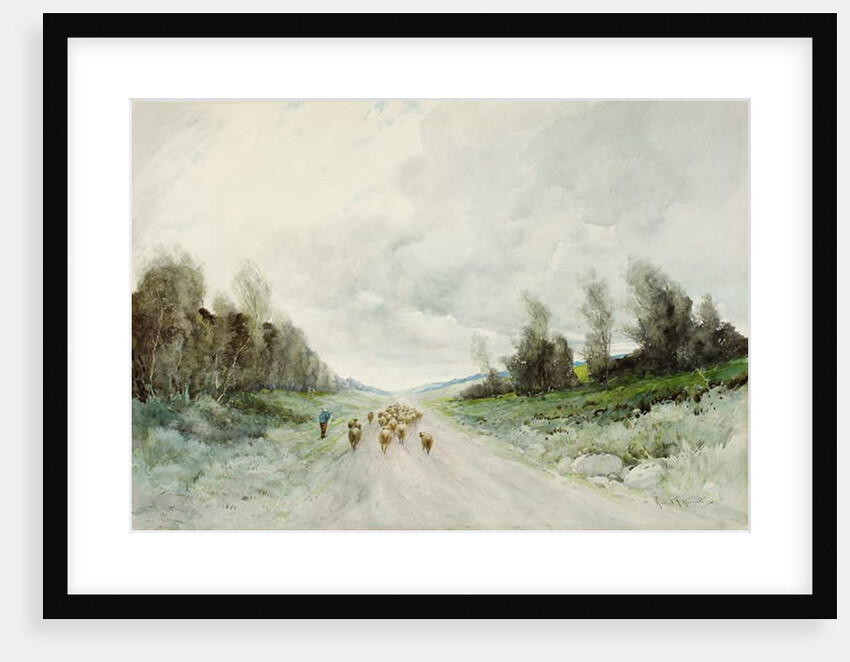 A Northumberland Road by Robert J. Hewitt