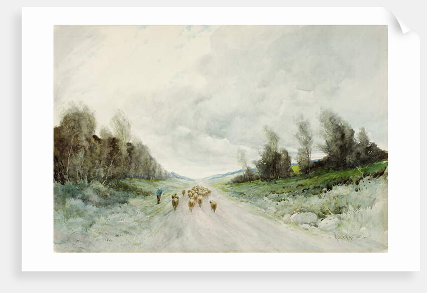 A Northumberland Road by Robert J. Hewitt