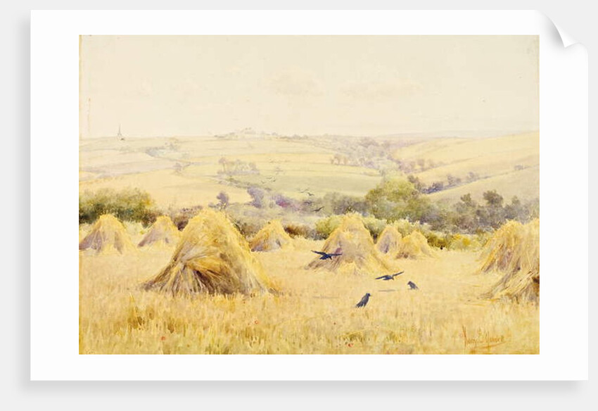 View of a Cornfield with Rooks by Harry E. James