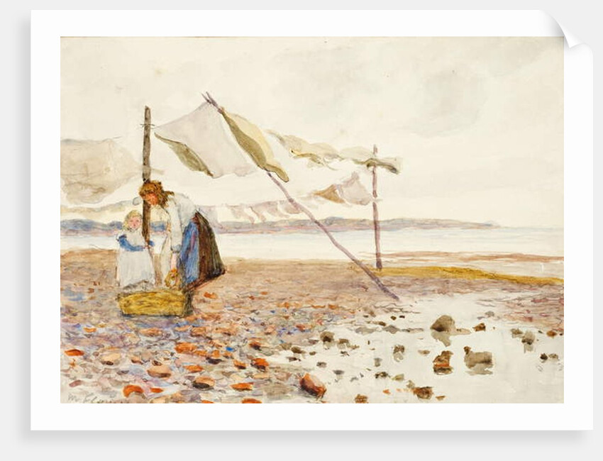 The Shore by Marmaduke C. William Flower