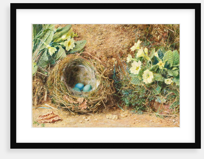 Bird's nest with three blue eggs and primroses by William Henry Hunt