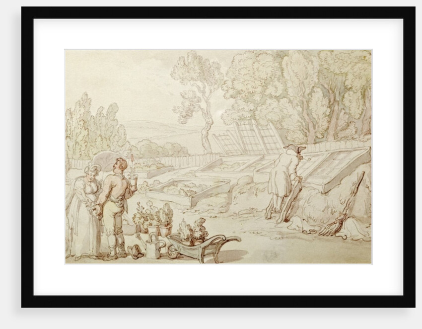 The Amorous Gardener by Thomas Rowlandson