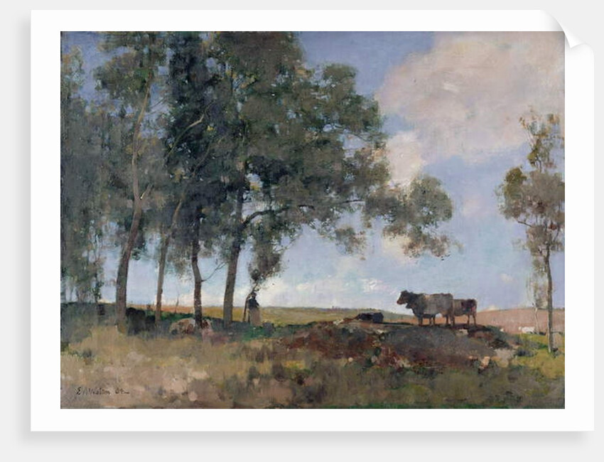 Autumn Sunshine, 1884 by Edward Arthur Walton