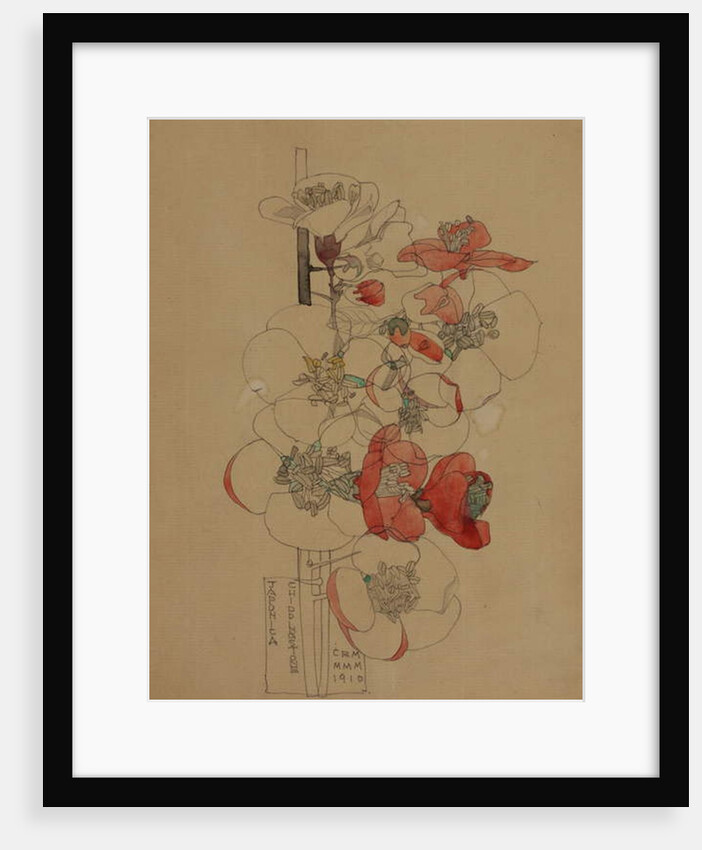 Japonica, 1910 by Charles Rennie Mackintosh