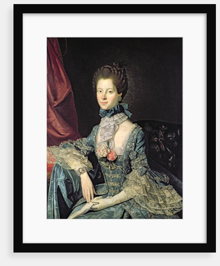 Queen Charlotte Sophia wife of King George III by Johann Zoffany